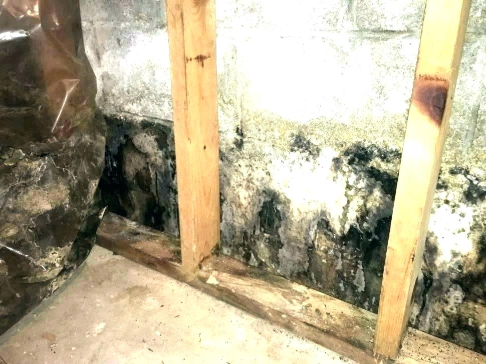 10 Types of Basement Walls