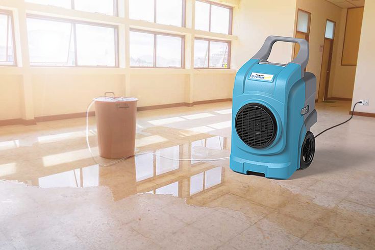 Solutions For Water Damage at Your Business