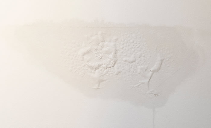 There's Staining on my Dry Wall. Do I Have a Leak?