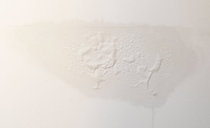 How to Detect Water Leaks in Walls