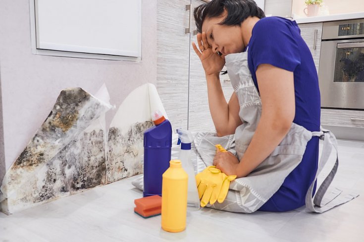 The Differences Between Black Mold and Mildew
