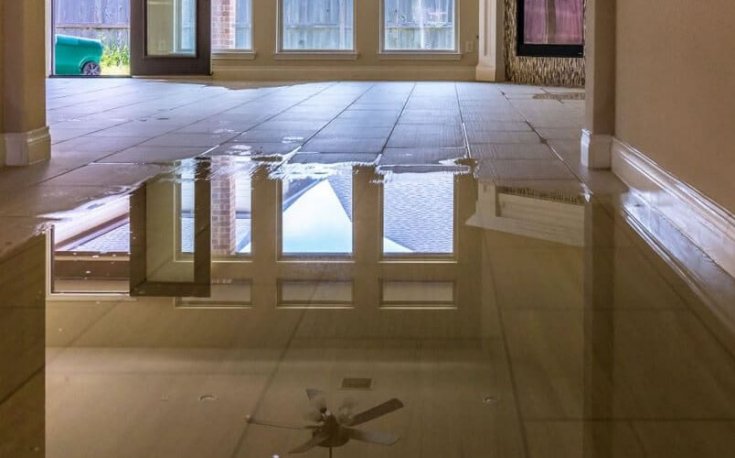 How to Protect Your Wood Floors from Water Damage