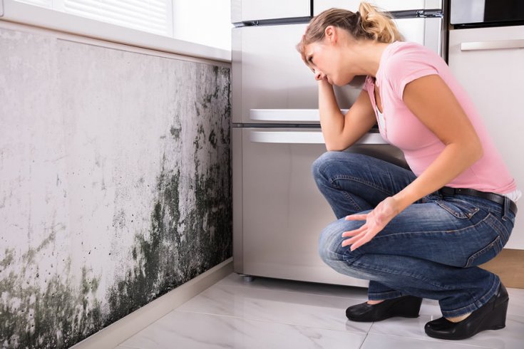How Fast Can Mold Grow After Water Damage?
