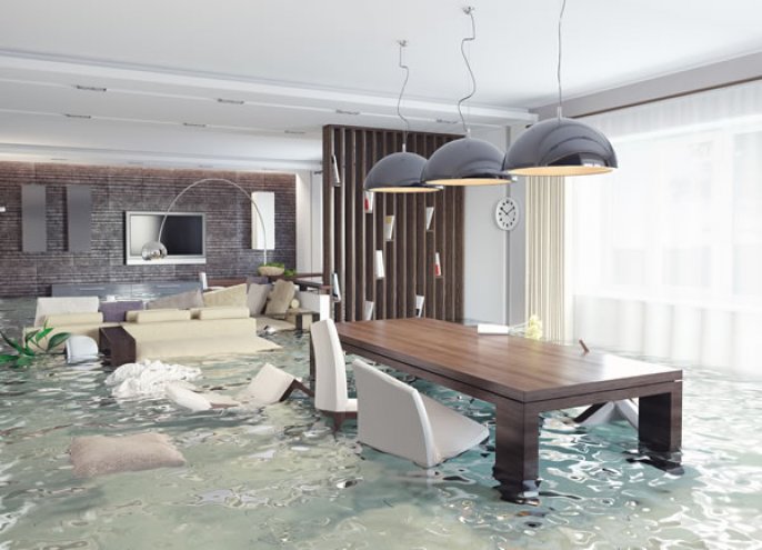 8 Steps to Take After Water Damage in Your Home