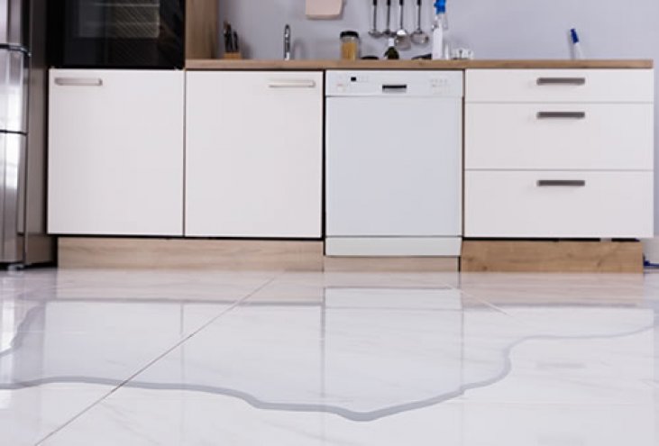 How to Repair and Prevent Dishwasher Leaks