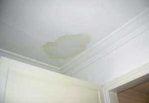 What to Do When Leaks Damage Ceiling Fans