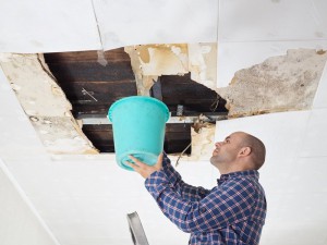 Stop Mold with Leak Detection Repair